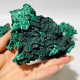 5 Pieces High Quality Raw Malachite Specimen -Wholesale Crystals