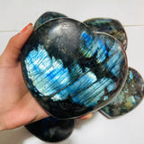 5 Pieces Large Labradorite Heart -Wholesale Crystals