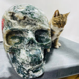 71.8kg Very Large Geode Druzy Moss Agate Skull Carving 20Inch - Wholesale Crystals