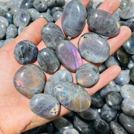 7.77kg(17lbs) Small Purple Blue Labradorite Palm -Wholesale Crystals