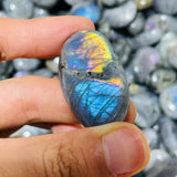 7.77kg(17lbs) Small Purple Blue Labradorite Palm -Wholesale Crystals