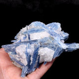 Raw Blue Kyanite Specimen Crystal -Wholesale Crystals