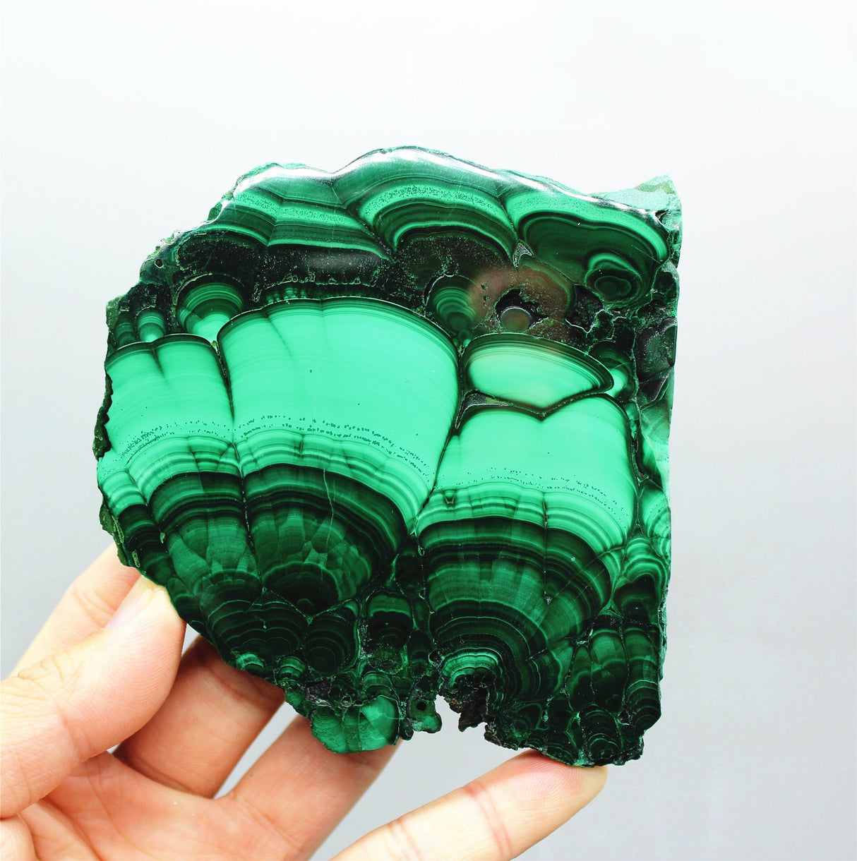 Polished malachite slab -Wholesale Crystals