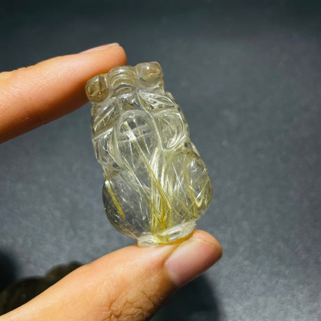 2 Pieces High Quality Golden Rutile Pi Xiu Carving -Wholesale Crystals