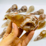 16 Pieces High Quality Sakura Agate Crow Skull Carving -Wholesale Crystals