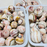 Dali Jasper Spheres Ball Wholesale 2-3.2in -Wholesale Crystals