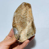 High Grade Orange Garden Quartz Lodolite With Rainbow -Wholesale Crystals