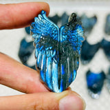 Labradorite Wing Shield Carving Wholesale -Wholesale Crystals