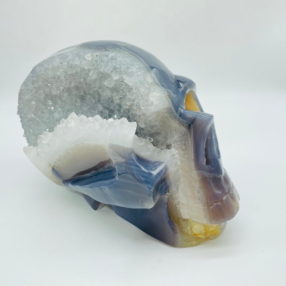 Large Geode Druzy Agate Skull -Wholesale Crystals