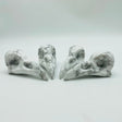 Large Howlite Crow Skull Carving Wholesale -Wholesale Crystals