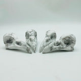 Large Howlite Crow Skull Carving Wholesale -Wholesale Crystals