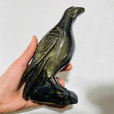 Large Unique Gold Sheen Obsidian Crow Carving -Wholesale Crystals