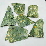 Large Peacock Eye Rain Forest Jasper Slab Wholesale -Wholesale Crystals
