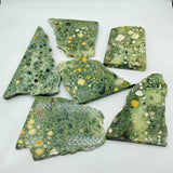 Large Peacock Eye Rain Forest Jasper Slab Wholesale -Wholesale Crystals