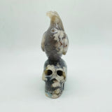 Sakura Flower Agate Bird Skull Carving -Wholesale Crystals