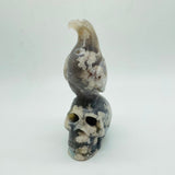 Sakura Flower Agate Bird Skull Carving -Wholesale Crystals