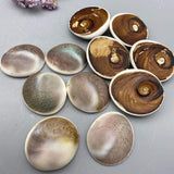 Shell fossil from Madagascar -Wholesale Crystals